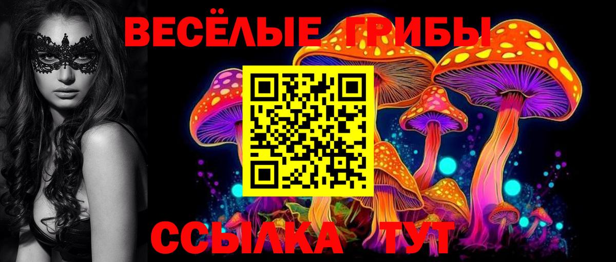 Галлюциногенные грибы Magic Shrooms Дзержинский