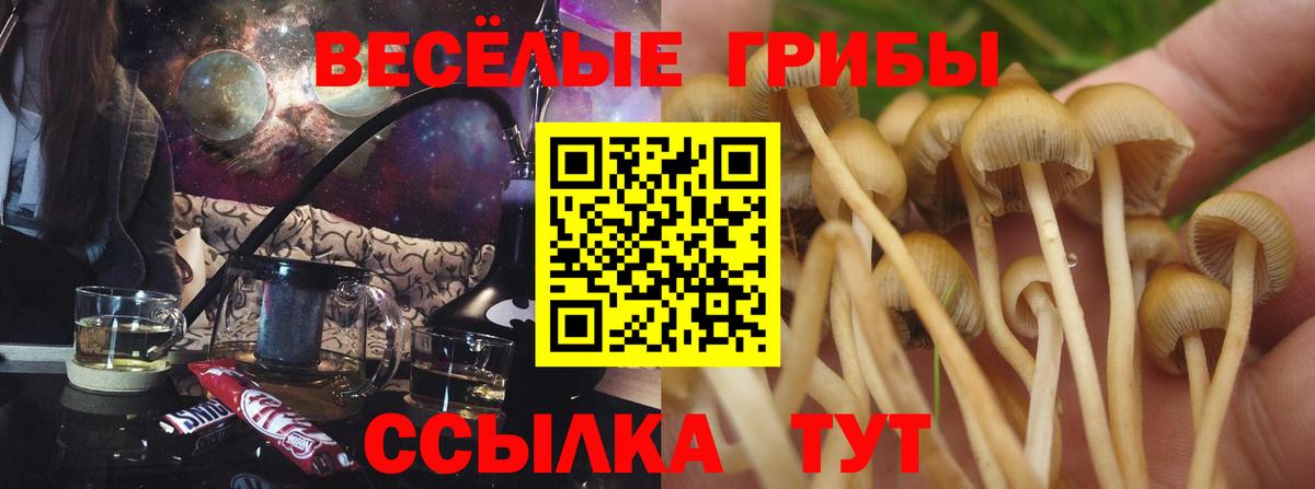 Галлюциногенные грибы Psilocybine cubensis  Вход с VPN  Дзержинский  Псилоцибиновые грибы GOLDEN TEACHER 